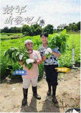 极限造物 海报